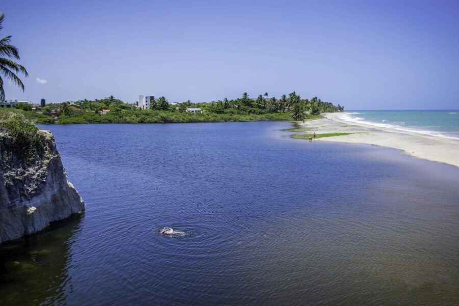 From João Pessoa: Full-Day Southern Coast Beaches Tour - Guide quality and language: what to watch for