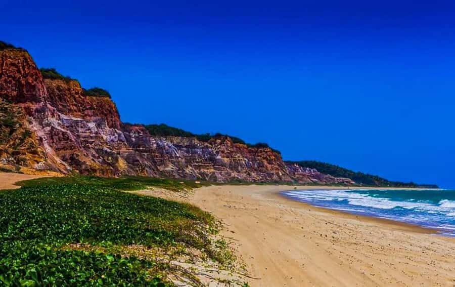 From Maceio: Gunga Beach & Full-Day Tour - Beach time that’s not just sitting: where to eat and what to shop