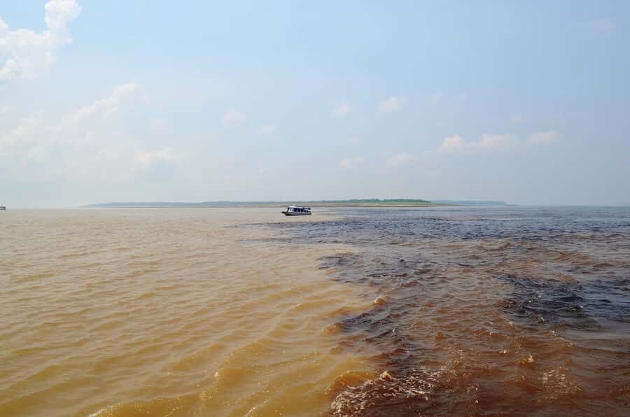 From Manaus: 3 or 4-Day Rio Negro & Anavilhanas River Cruise - Day 3 (4-day option): canoe wildlife and survival-style jungle learning