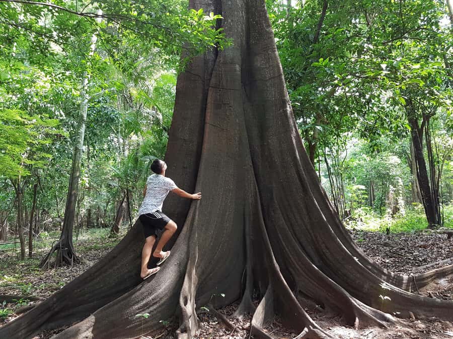 From Manaus: 3 or 4-Day Rio Negro & Anavilhanas River Cruise - Value for $600: why it can be fair, and when it might disappoint