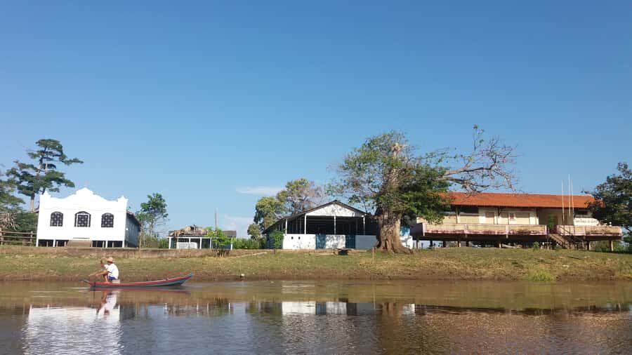 From Manaus: 3 or 4-Day Rio Negro & Anavilhanas River Cruise - Day 1: Janauri Ecological Park jungle hike and dolphin swim at Acajatuba Lake