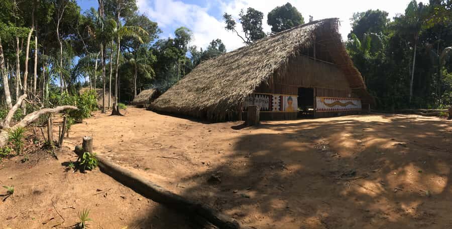 From Manaus: Negro River Half-Day Trip - The White-Sand Negro River Beach: Warm Water Down Time