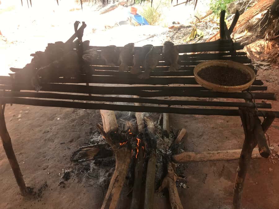 From Manaus: Negro River Half-Day Trip - Group Size, Boat Comfort, and Realistic Timing