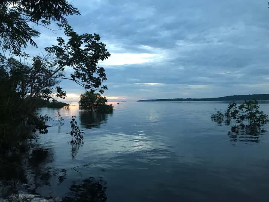 From Manaus: One-Day Amazon Jungle Experience - Key things to know before you go
