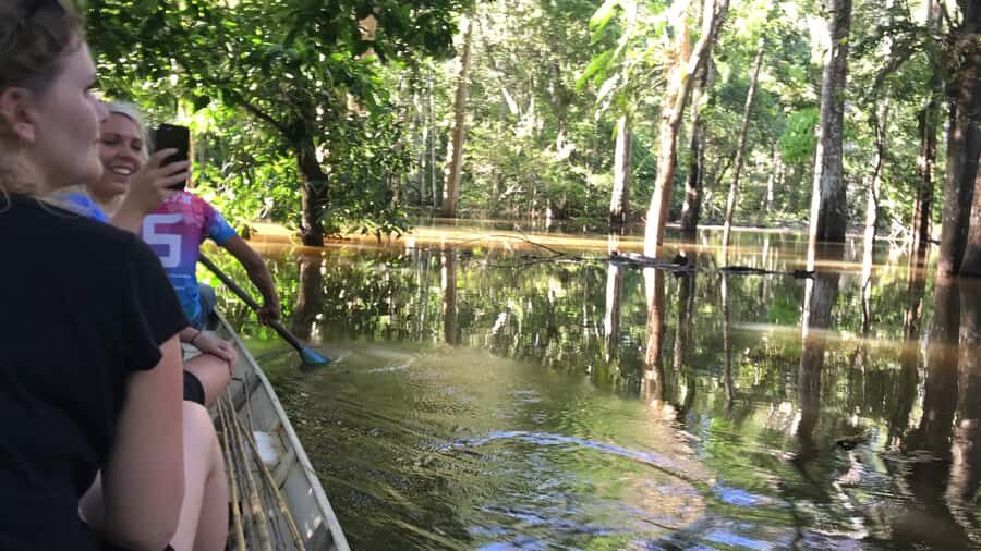 From Manaus: One-Day Amazon Jungle Experience - The jungle trek: plants, medicinal uses, and survival basics