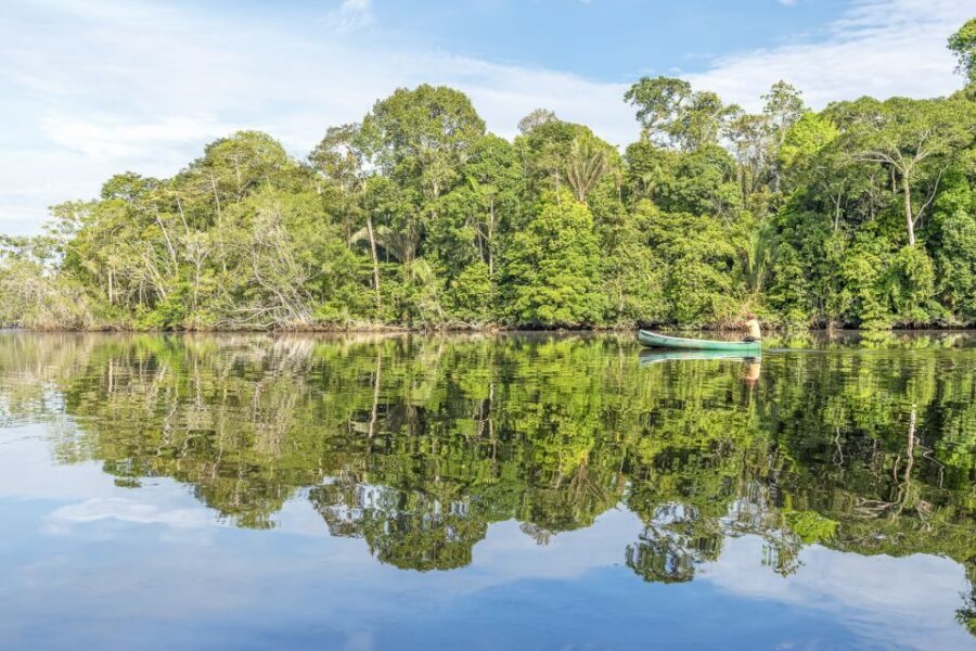 From Manaus: One-Day Amazon Jungle Experience - Flooded-forest canoe time and piranha fishing at sunset