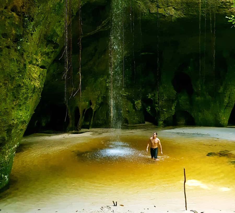 From Manaus: Presidente Figueiredo Waterfalls Daytrip - Manaus to the falls: what a 12-hour jungle day actually feels like