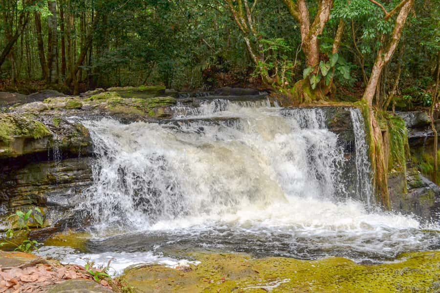 From Manaus: Presidente Figueiredo Waterfalls Daytrip - The walking factor: hills, forest paths, and water-level crossing