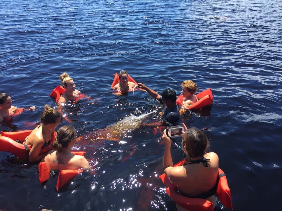 From Manuas: Full-Day River Tour - Water lilies lake + flooded forest ride: photos with seasonal reality