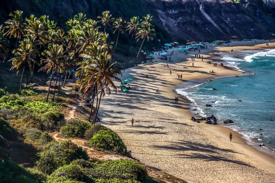 From Natal: Pipa, Cacimbinhas, And Love Beach Full-Day Tour - Key Things You’ll Notice on This Pipa Full-Day