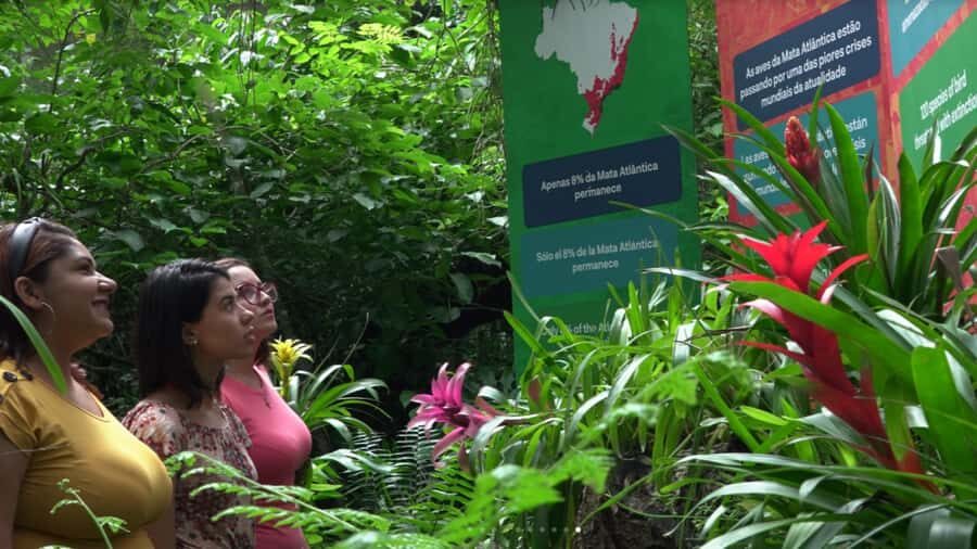 From Puerto Iguazú: Brazilian Bird Park Tour with Tickets - Parque das Aves on the Brazilian side: what makes it special