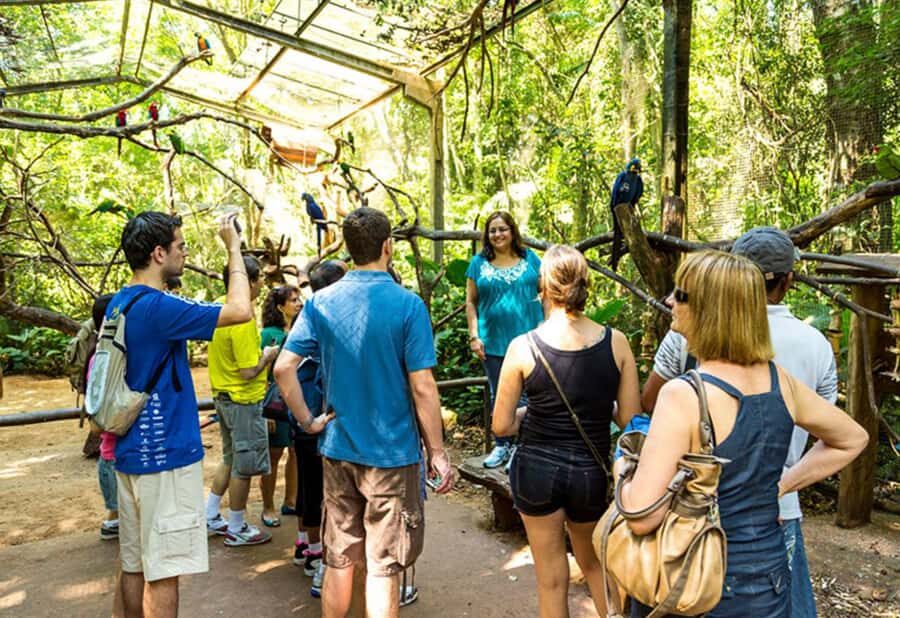 From Puerto Iguazú: Brazilian Bird Park Tour with Tickets - Timing and crowds: go early and it feels easier