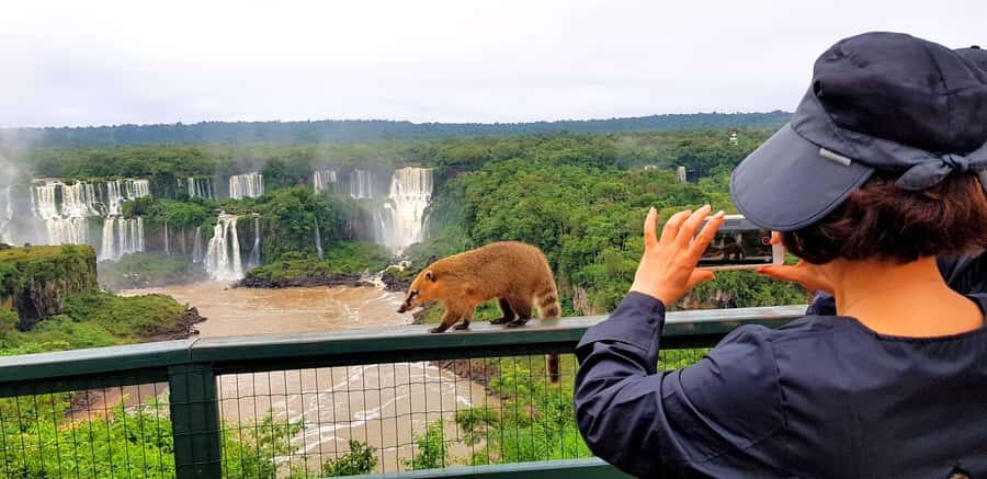 From Puerto Iguazu: Brazilian Falls with Boat Adventure - Electric-car start: getting from Puerto Iguazú into Iguaçu National Park