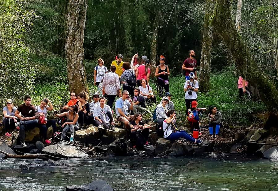 From Puerto Iguazu: Secret Falls Adventure - Should you book Secret Falls Adventure from Puerto Iguazú?