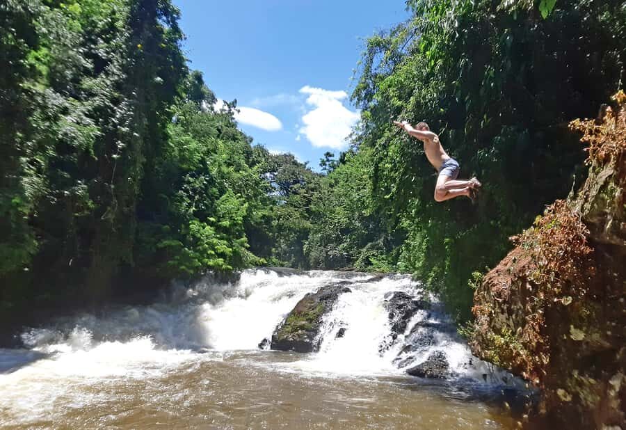 From Puerto Iguazu: Secret Falls Adventure - Entering the rainforest trail: what the hike is really like