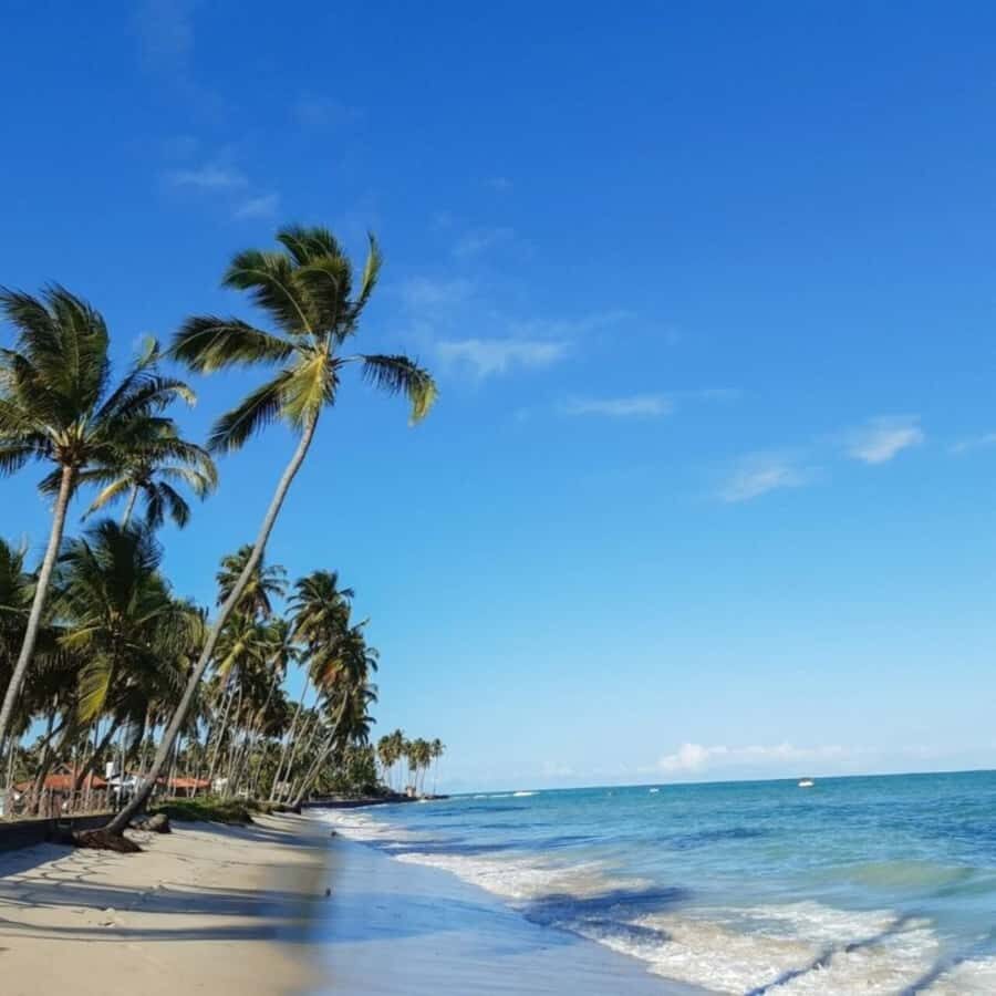 From Recife : Carneiros Beach - Key takeaways before you go