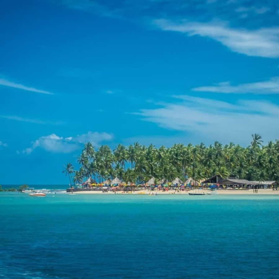 From Recife : Carneiros Beach - Carneiros Beach: the coast that turns relaxing into the main event
