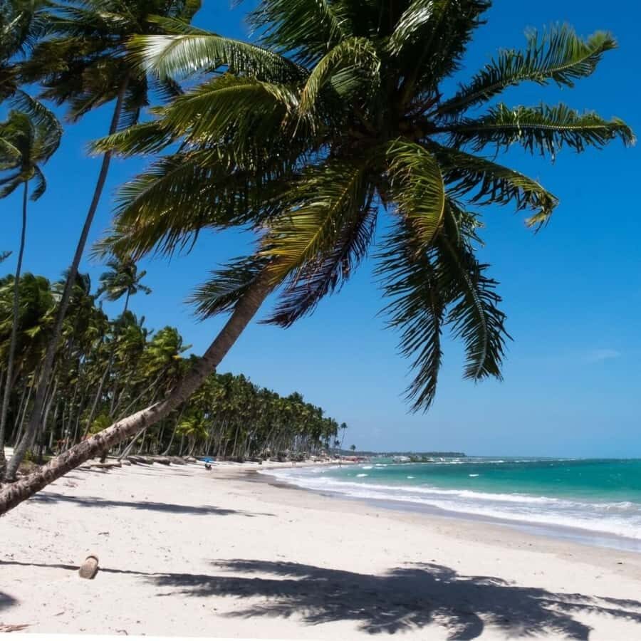 From Recife : Carneiros Beach - The seafront support point: where you start, swim, and reset