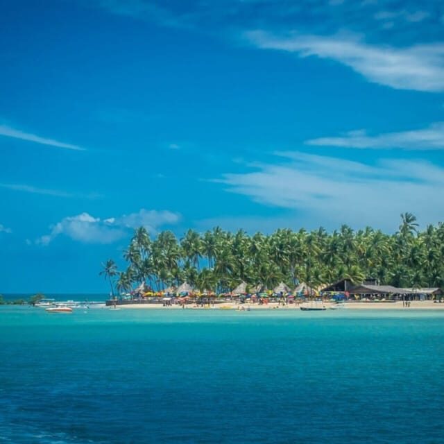 From Recife : Carneiros Beach - Price and value: is $32 a good deal?