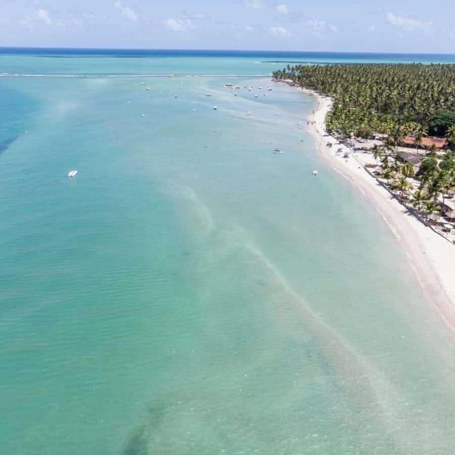 From Recife : Carneiros Beach - From Recife-area hotels: what the 8 hours really means