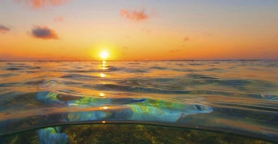 From Recife : Tour for Porto de Galinhas - What’s included (and what costs extra) on a $30 trip