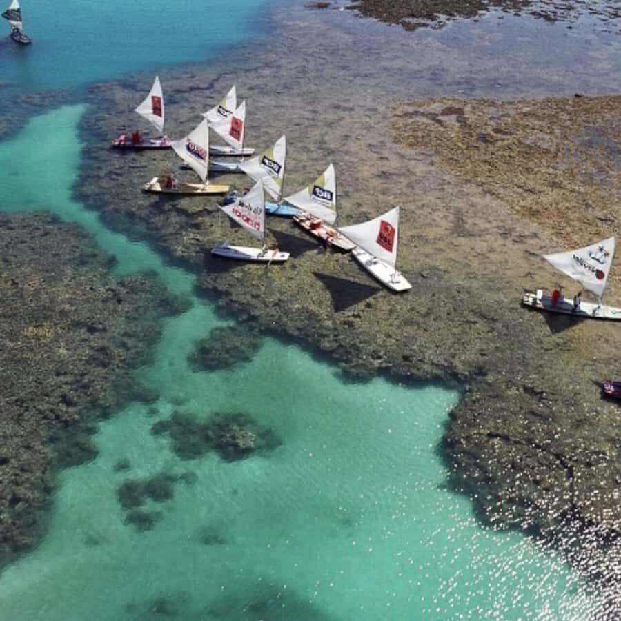From Recife : Tour for Porto de Galinhas - Natural pools by embacação: why the tide table runs the show