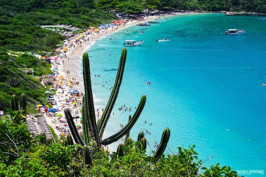 From Rio de Janeiro: Arraial do Cabo Island Day Trip - The boat day: pirate-ship comfort, roof seating, and marine life in clear water