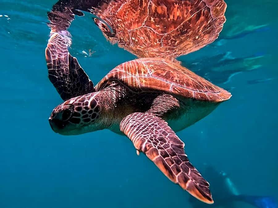 from Rio de Janeiro: Diving in Buzios - Rio to Búzios by executive bus: what the 3 hours really means