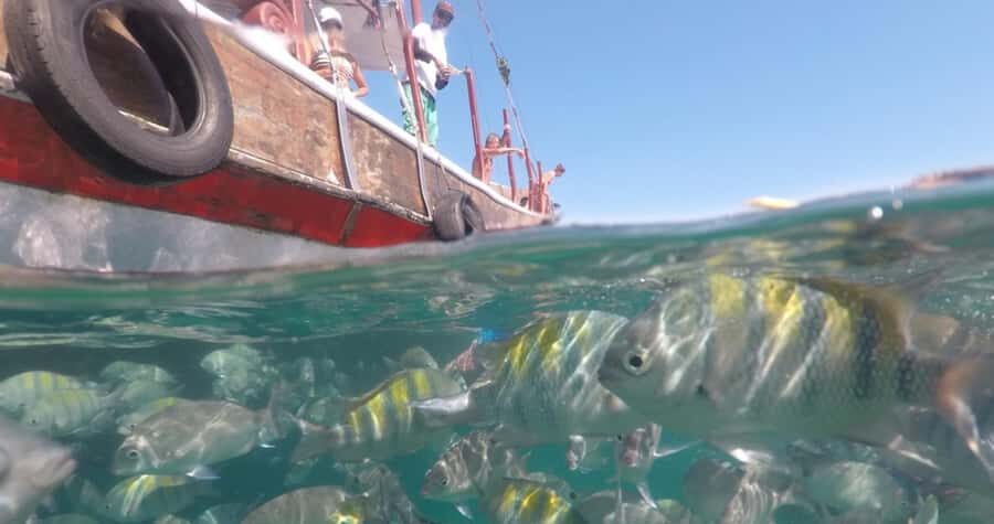 From Rio de Janeiro: Ilha Grande Day Trip - Long-tail boat rides: short hops that change the scenery