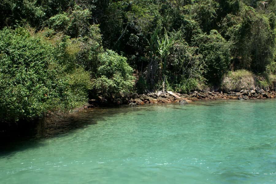 From Rio: Full-Day Angra dos Reis Cruise & Island Tour - Swim coves reached by boat: the best part, with one timing warning