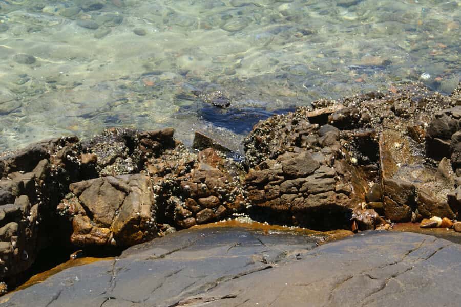 From Rio: Full-Day Angra dos Reis Cruise & Island Tour - Ilha Grande island time: sandy terrain and a real change of pace