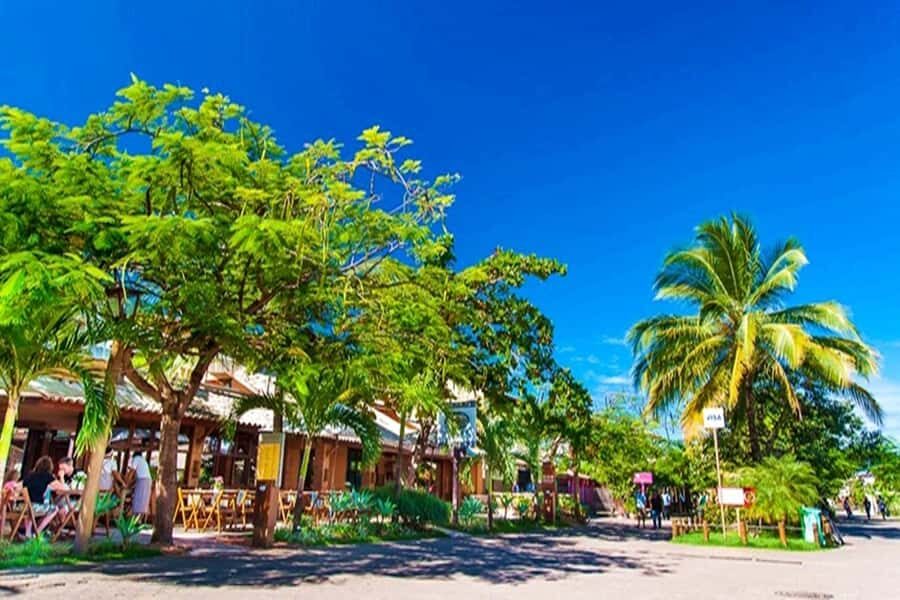 From Salvador: Praia do Forte & Guarajuba Beach Daytrip - FAQ