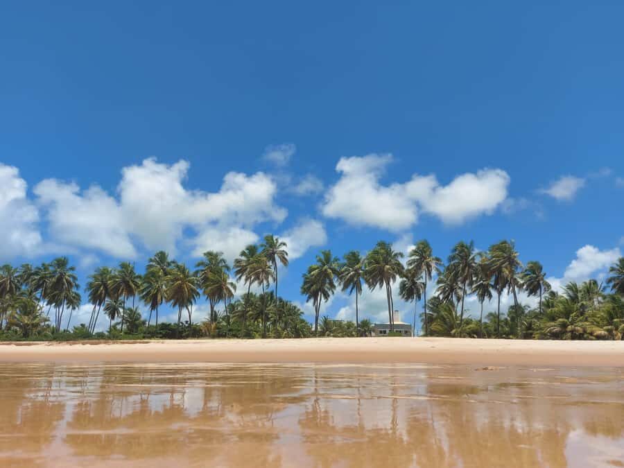 From Salvador: Praia do Forte & Guarajuba Beach Daytrip - Who This Tour Suits Best (and Who Might Skip It)