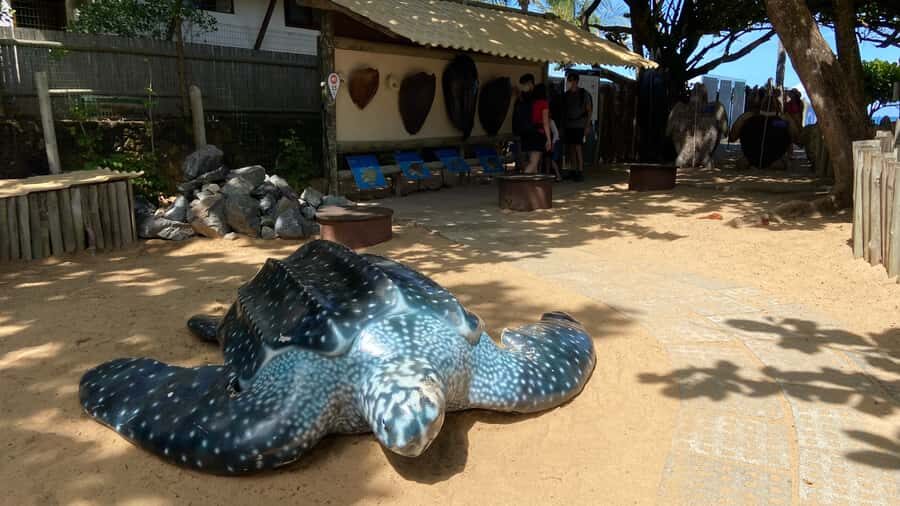 From Salvador: Praia do Forte & Guarajuba Beach Daytrip - Should You Book This Salvador Praia do Forte & Guarajuba Tour?