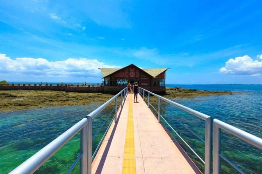 From Salvador: Schooner Tour to Frades Island - Key highlights worth your attention