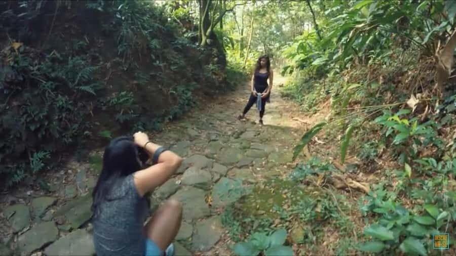 From São Paulo: Private Tour of Atlantic Forest & Valleys - Should you book the Private Tour of Atlantic Forest & Valleys?