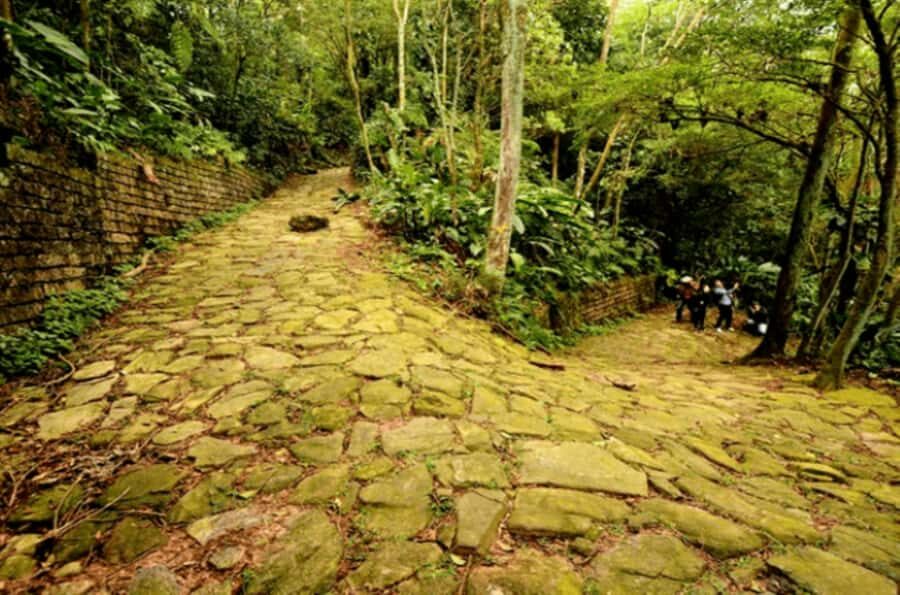 From São Paulo: Private Tour of Atlantic Forest & Valleys - Food, rain, and comfort: how to prep so the day feels good