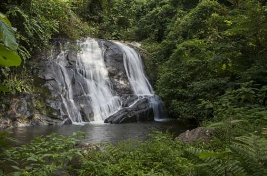 From São Paulo: Private Tour of Atlantic Forest & Valleys - Price and value: what $333 per person really buys you