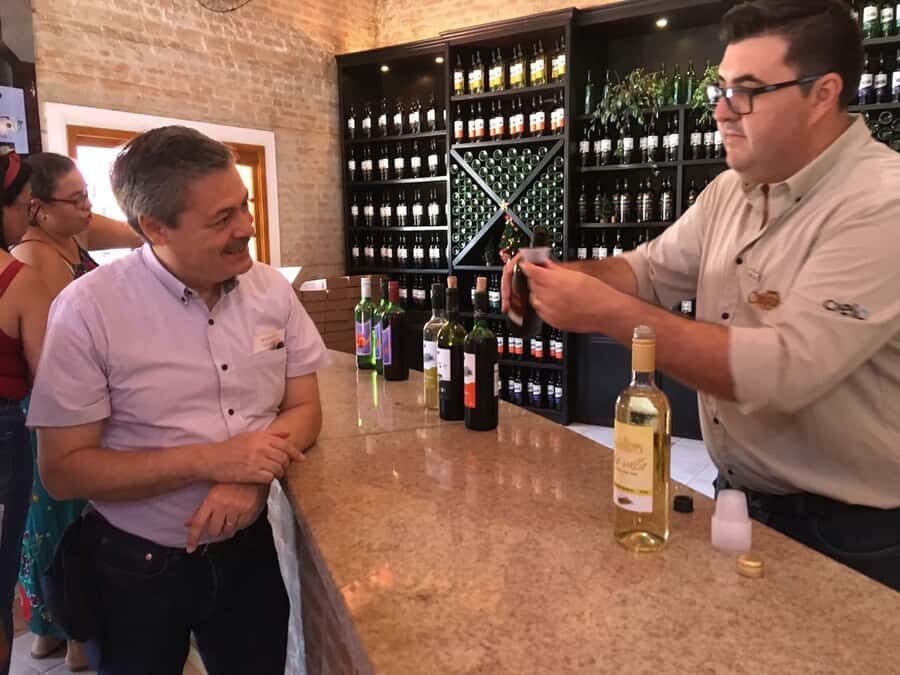 From São Paulo: São Roque Wineries Route and Tasting of Wine - Key highlights to know before you go