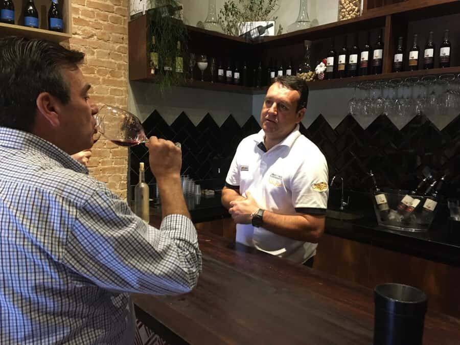 From São Paulo: São Roque Wineries Route and Tasting of Wine - From São Paulo pickups to São Roque’s wine-route roads