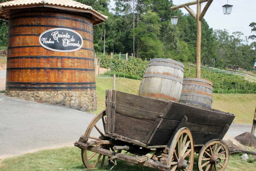 From São Paulo: São Roque Wineries Route and Tasting of Wine - Terra do Vinho Winery: where the day often clicks