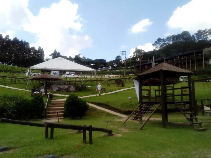 From São Paulo: São Roque Wineries Route and Tasting of Wine - Canguera and Frank Wineries: tasting three ways