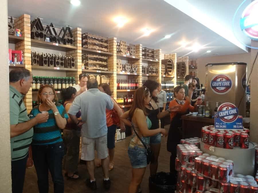 From São Paulo: São Roque Wineries Route and Tasting of Wine - Quinta do Olivardo vineyards: lunch break with breathing space