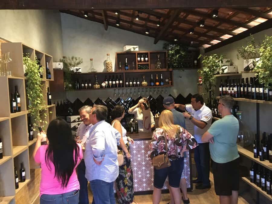 From São Paulo: São Roque Wineries Route and Tasting of Wine - Cacau Show Mega Store: the sweet counterbalance after wine