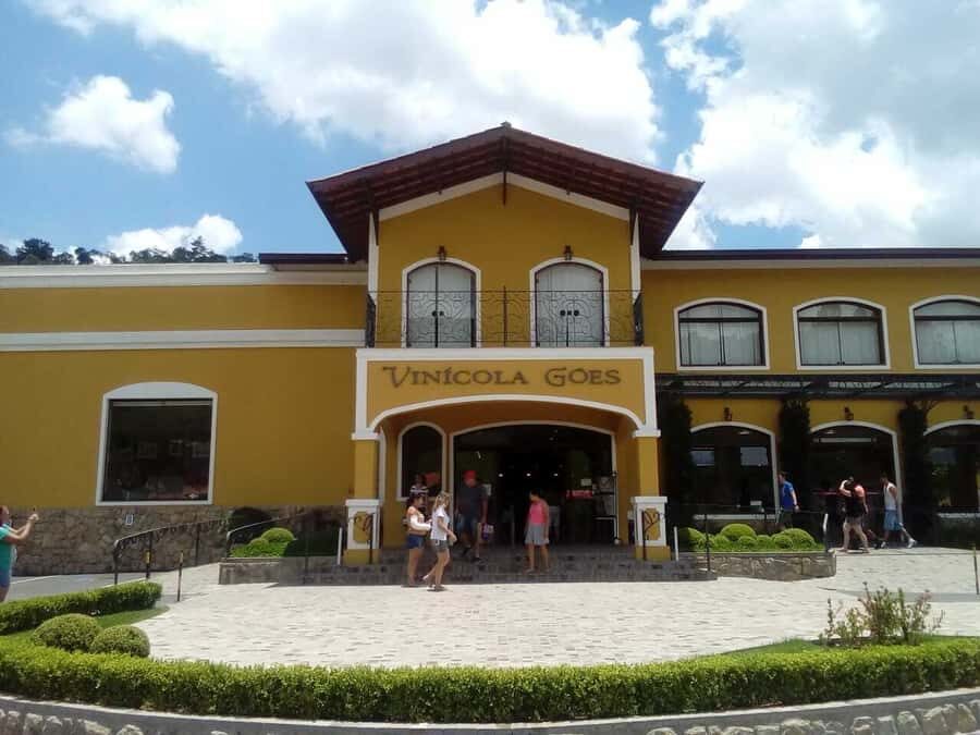 From São Paulo: São Roque Wineries Route and Tasting of Wine - A 9-hour day trip with a max of 12 people