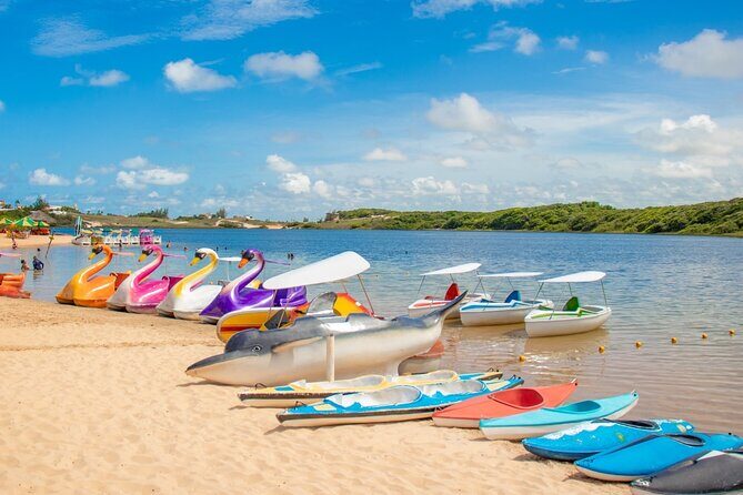 Full Day 4x4 South Coast Tour - Price and Value: What $36.36 Covers (and What You’ll Still Pay)