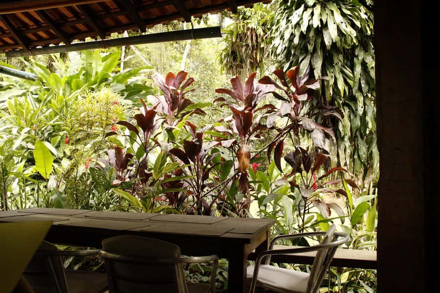 Full-Day Jungle Jeep Waterfall and Cachaça Distillery Tour - Murycana Farm: Second Cachaça Stop With a Different Flavor of Place