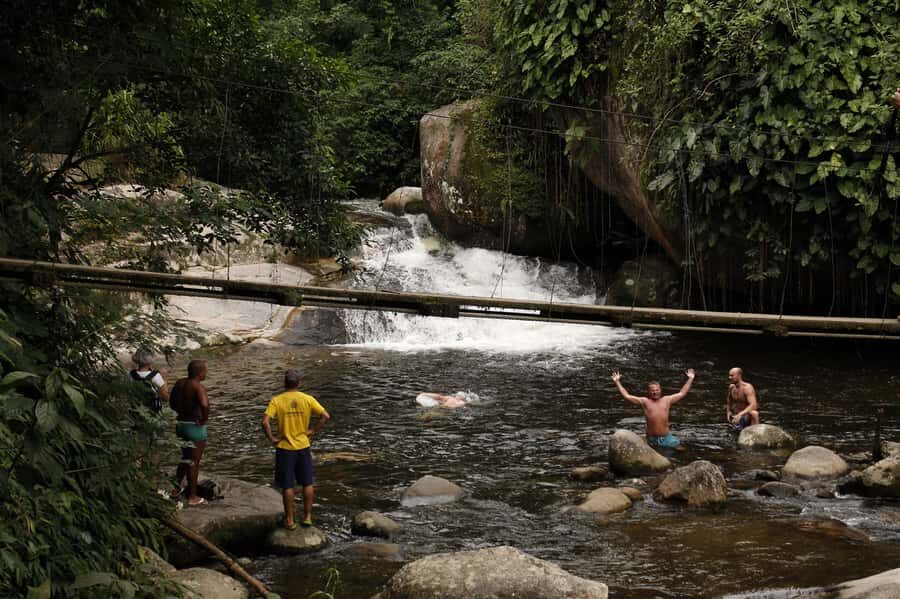Full-Day Jungle Jeep Waterfall and Cachaça Distillery Tour - Bromeliad Exhibition: 300+ Species and a Better Way to Look at the Forest