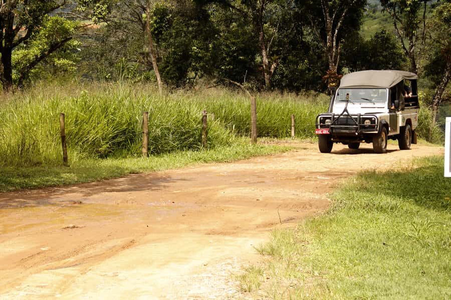 Full-Day Jungle Jeep Waterfall and Cachaça Distillery Tour - The Gold Trail Story Meets the Jungle Ride