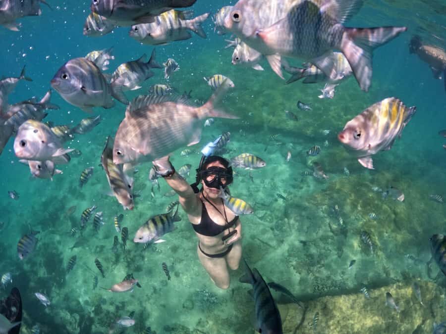 Full day tour to Búzios - Premium All Inclusive - Key things that make this tour tick
